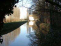 Lode Mill.jpg
149.81 KB
1024 x 768
4/26/02